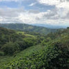 Kolumbien Excelso1