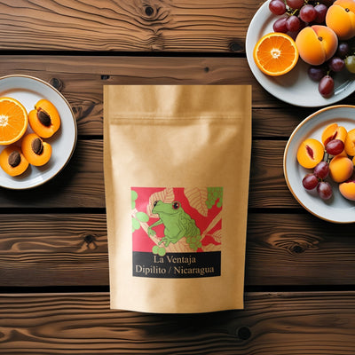 Nicaragua La Ventaja