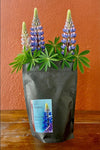 Lupinen pur!2
