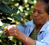 Honduras Marcala3