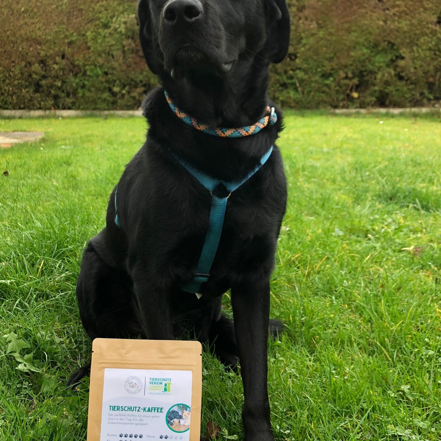 Tierschutzkaffee 250g6