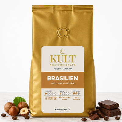 Brasilien Santos