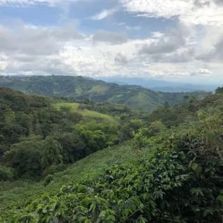 Kolumbien Excelso1