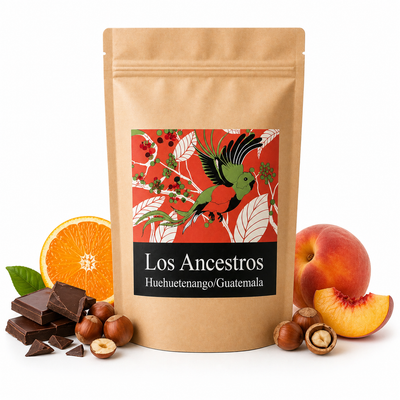 Guatemala Los Ancestros
