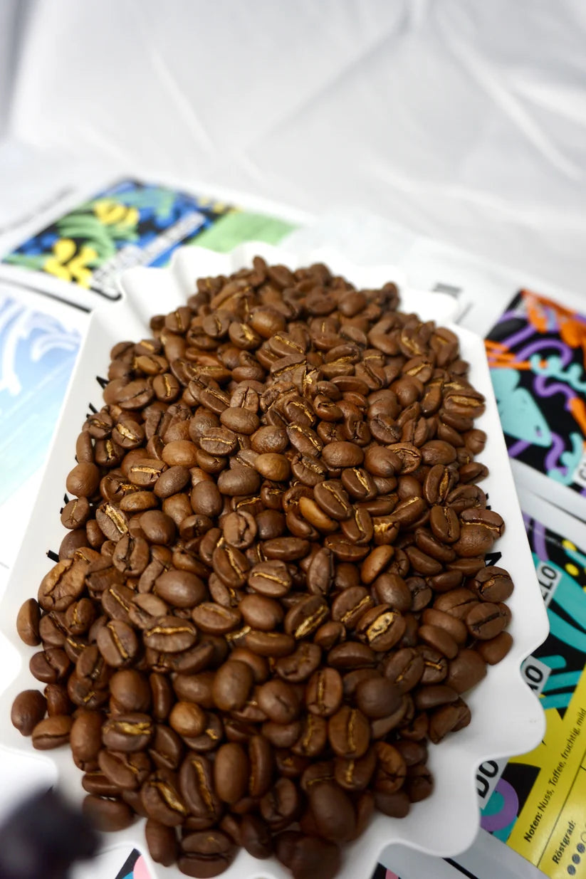 Latin Spirit Espresso-Bundle