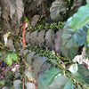 Alltagsheld5