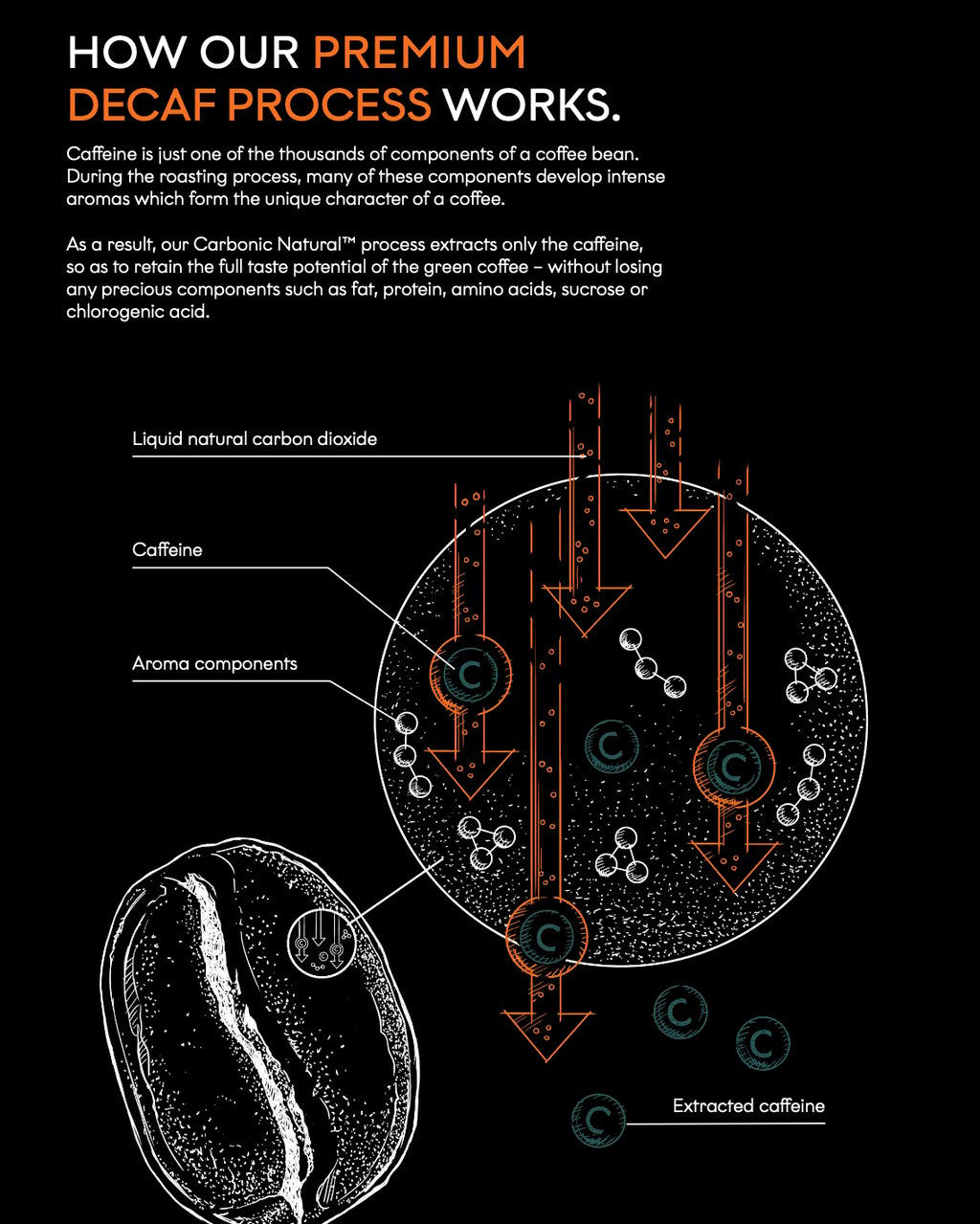 Brazil Carbonic1