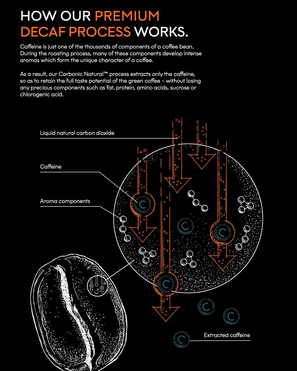 Brazil Carbonic1