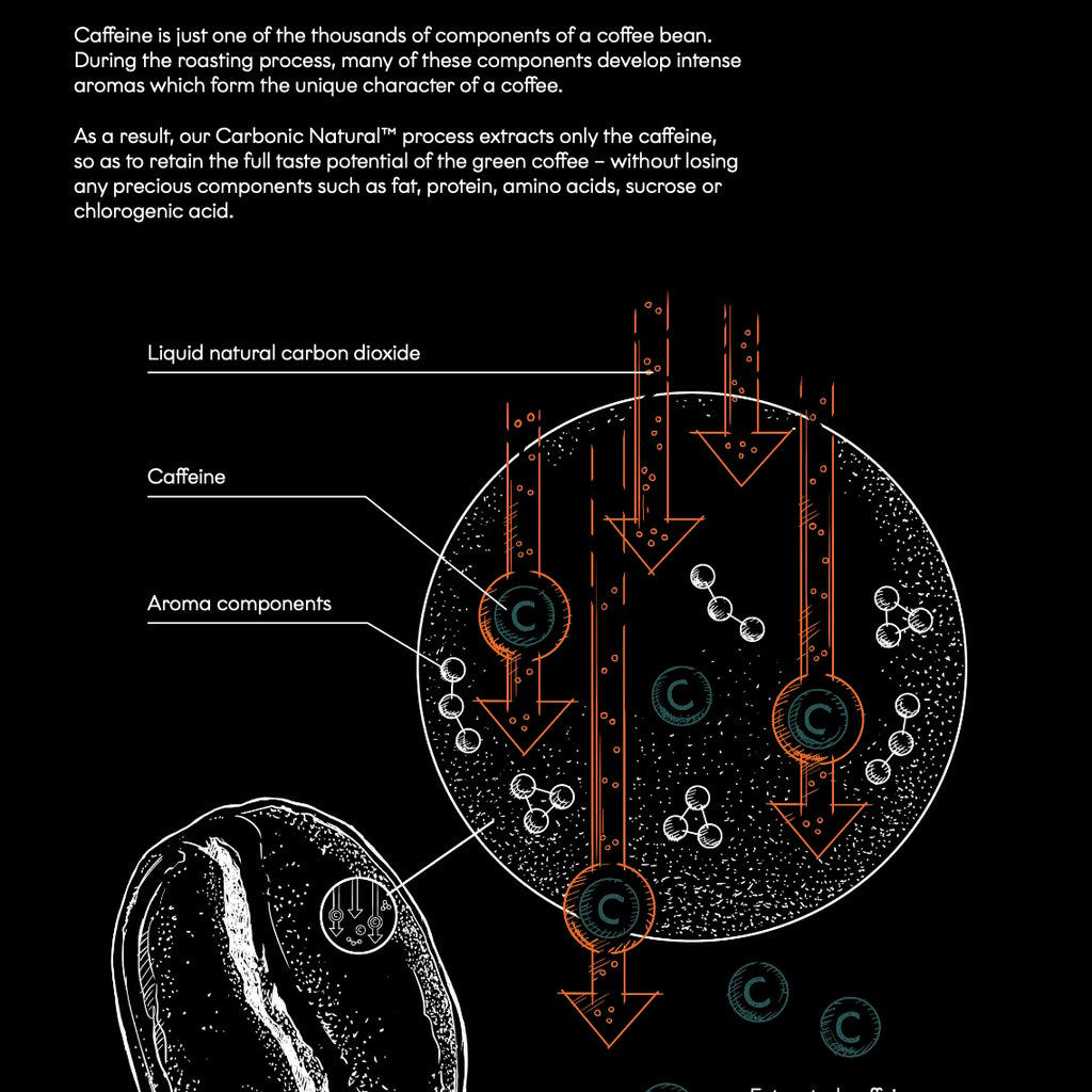 Brazil Carbonic4