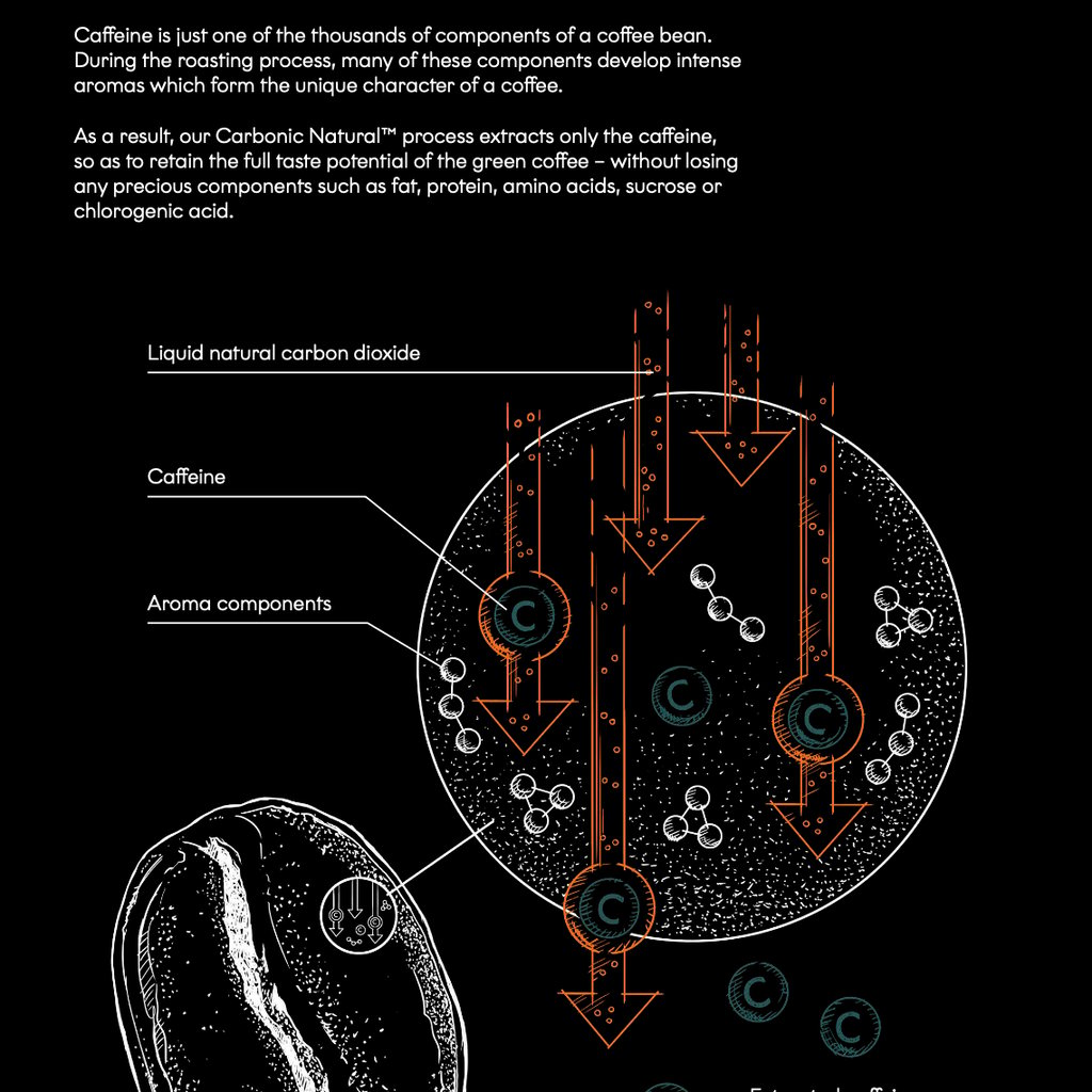 Brazil Carbonic4