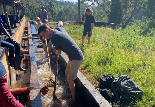 Capital Coffee Roasters