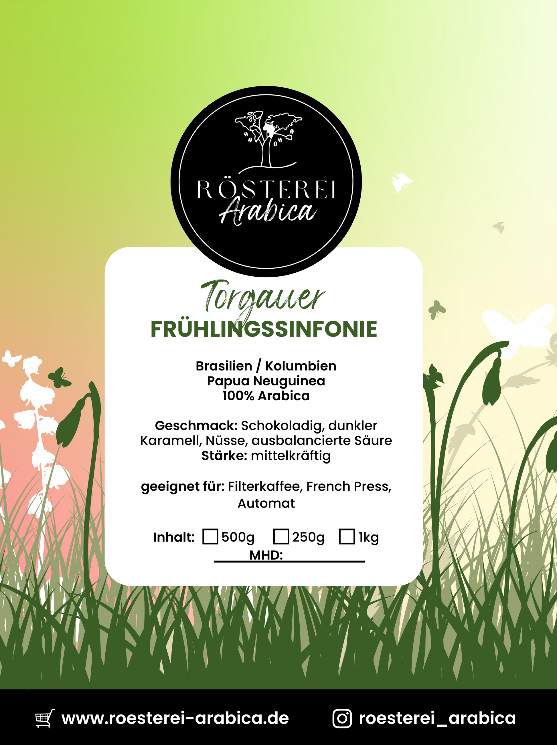 Torgauer Frühlingssinfonie2