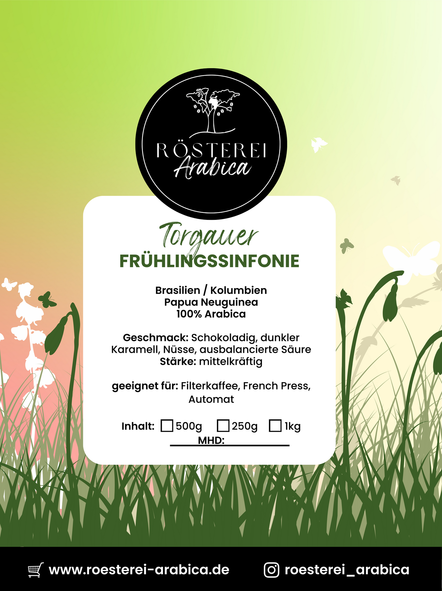Torgauer Frühlingssinfonie2
