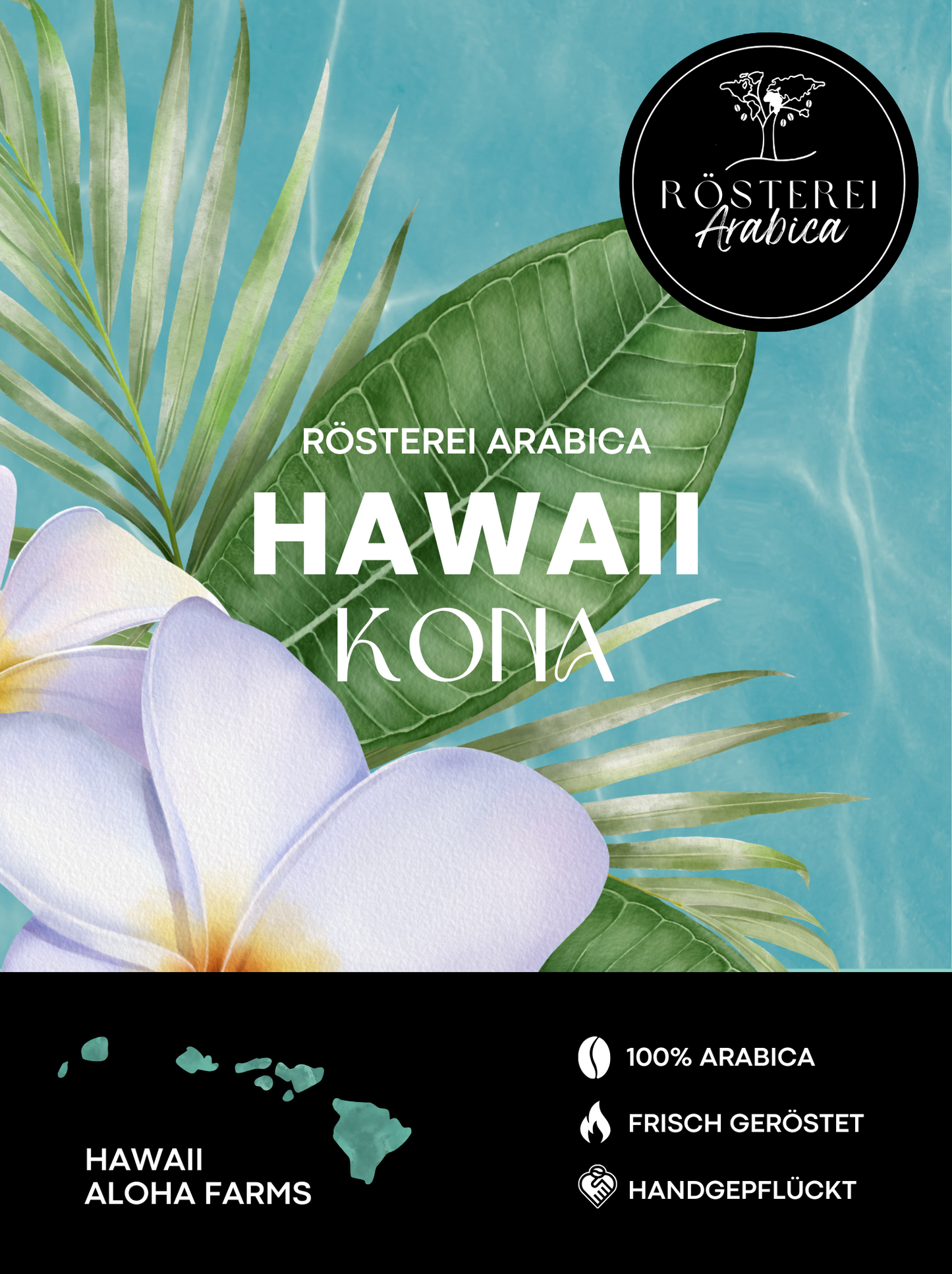 Hawaii Kona2
