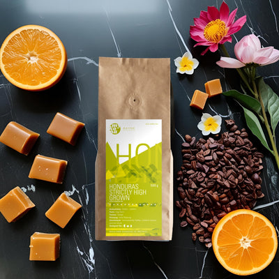 Honduras Ocotepeque Elmer Mancia, José Santos Organic