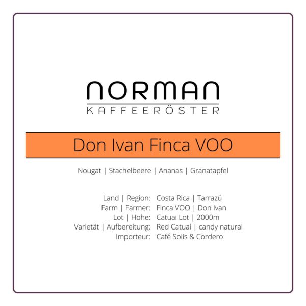 Don Ivan VOO – Filter1
