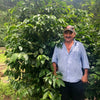 San Francisco Caturra Estrella – Espresso