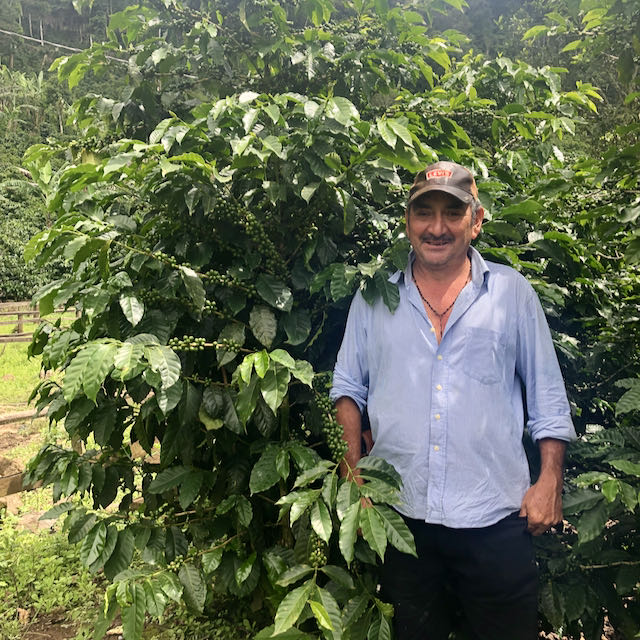 San Francisco Caturra Estrella – Espresso