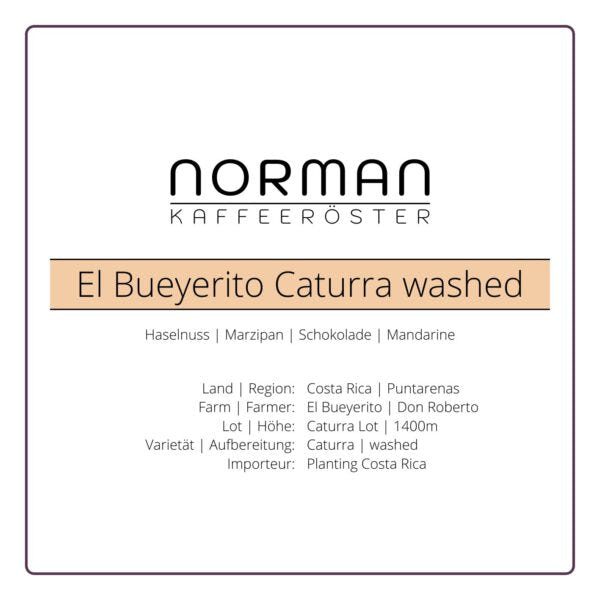 El Bueyerito Caturra washed – Espresso1
