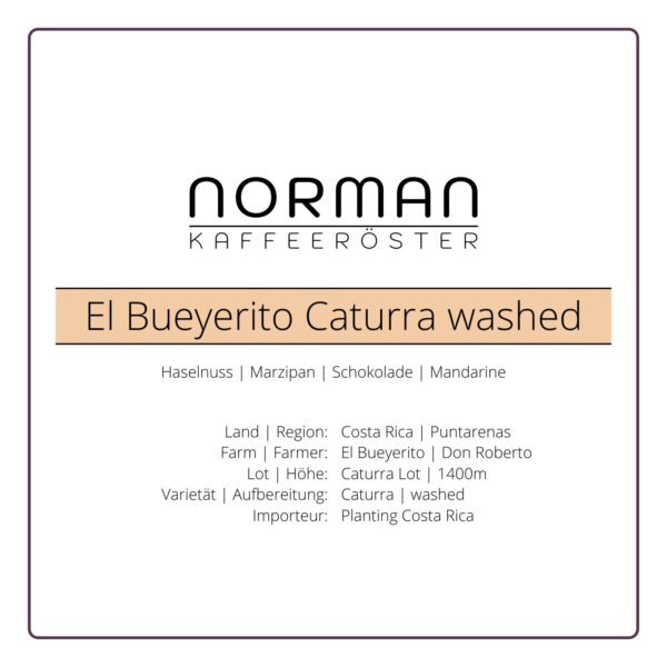 El Bueyerito Caturra washed – Espresso1