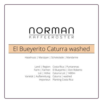 El Bueyerito Caturra washed – Espresso1