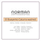 El Bueyerito Caturra washed – Filter