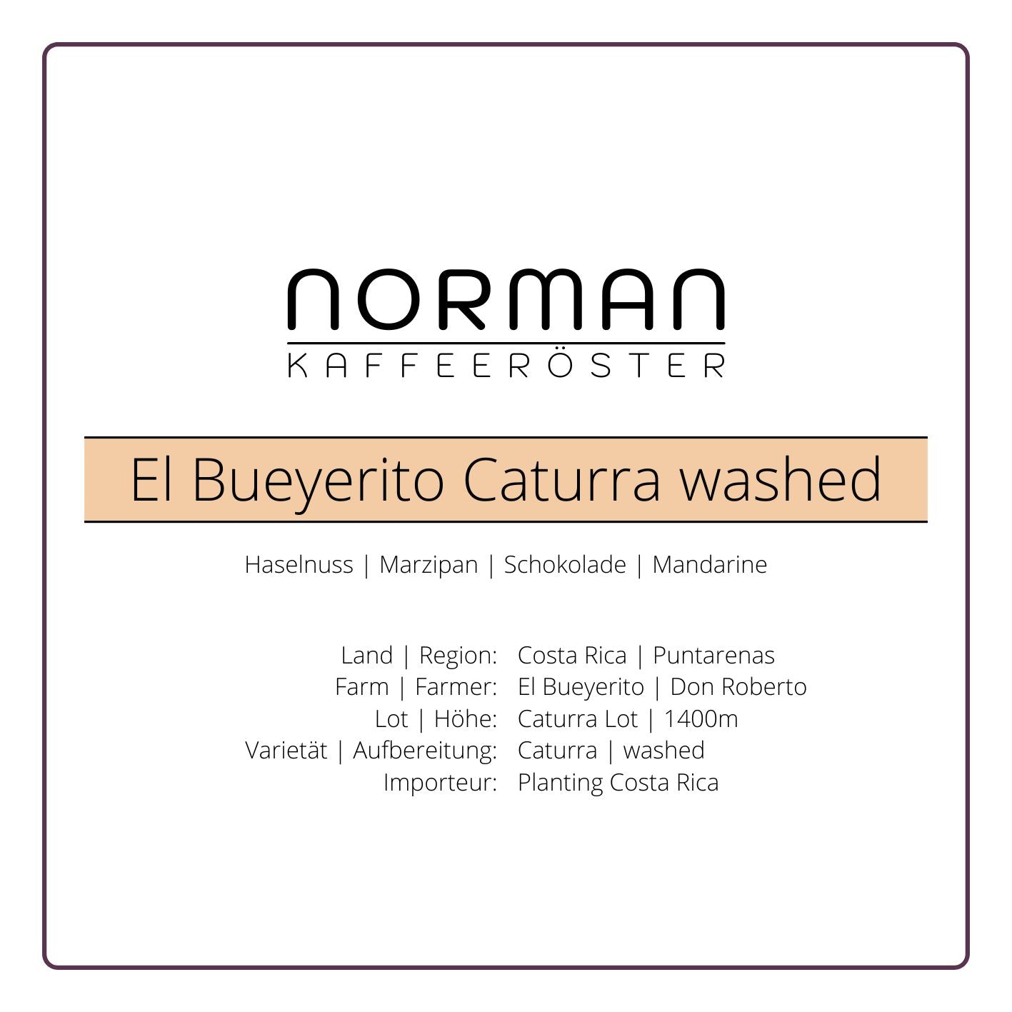El Bueyerito Caturra washed – Filter