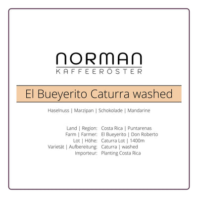 El Bueyerito Caturra washed – Filter