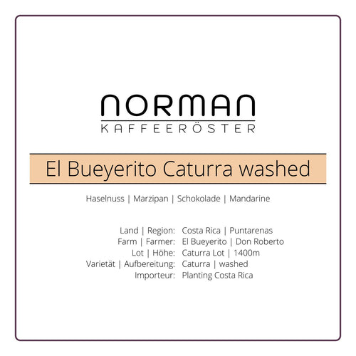 El Bueyerito Caturra washed – Filter