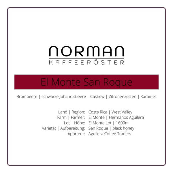 El Monte San Roque – Filter1