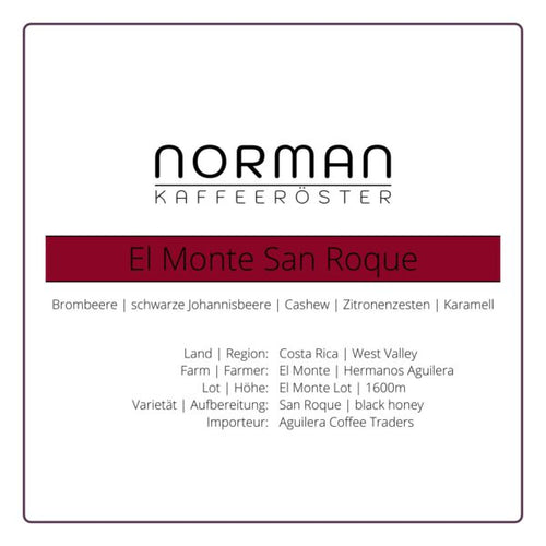 El Monte San Roque – Filter
