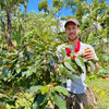 Finca Idealista Pacas – Espresso