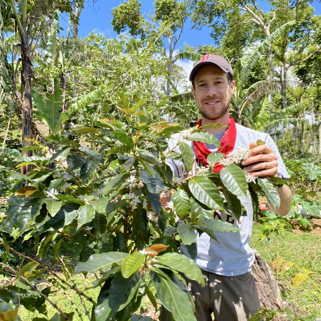 Finca Idealista Pacas – Espresso