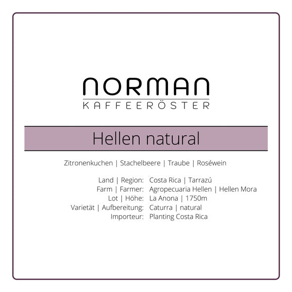 Hellen natural – Filter aus Costa Rica mit Zitronenkuchen-Aroma