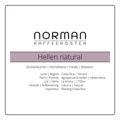 Hellen natural – Filter aus Costa Rica mit Zitronenkuchen-Aroma