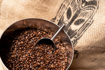 Vielfalt im Sortiment