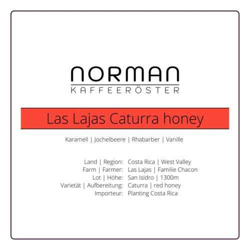 Las Lajas Caturra honey – Espresso