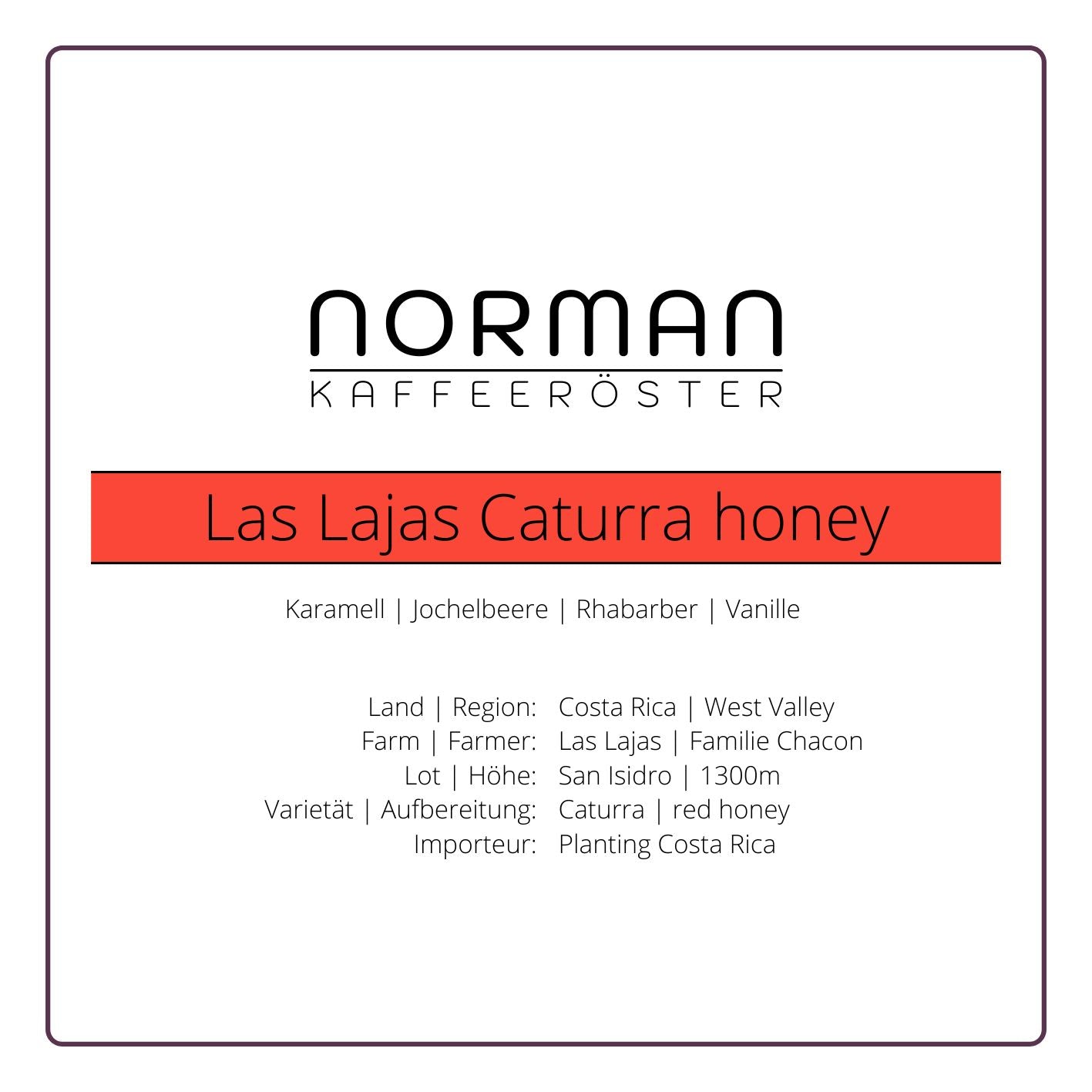 Las Lajas Caturra honey – Filter