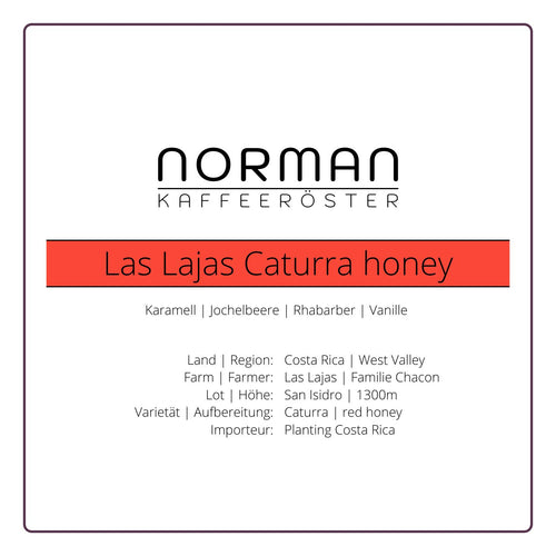 Las Lajas Caturra honey – Filter