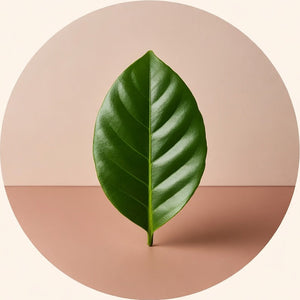 Bio