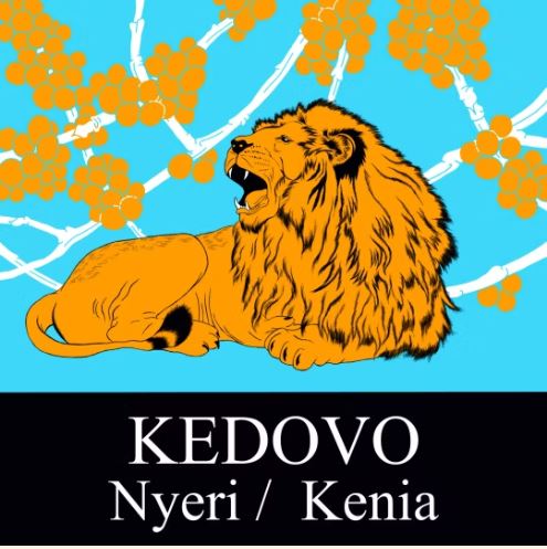 Kenia Kedovo Nyeri