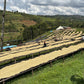 Ruanda Kivu1