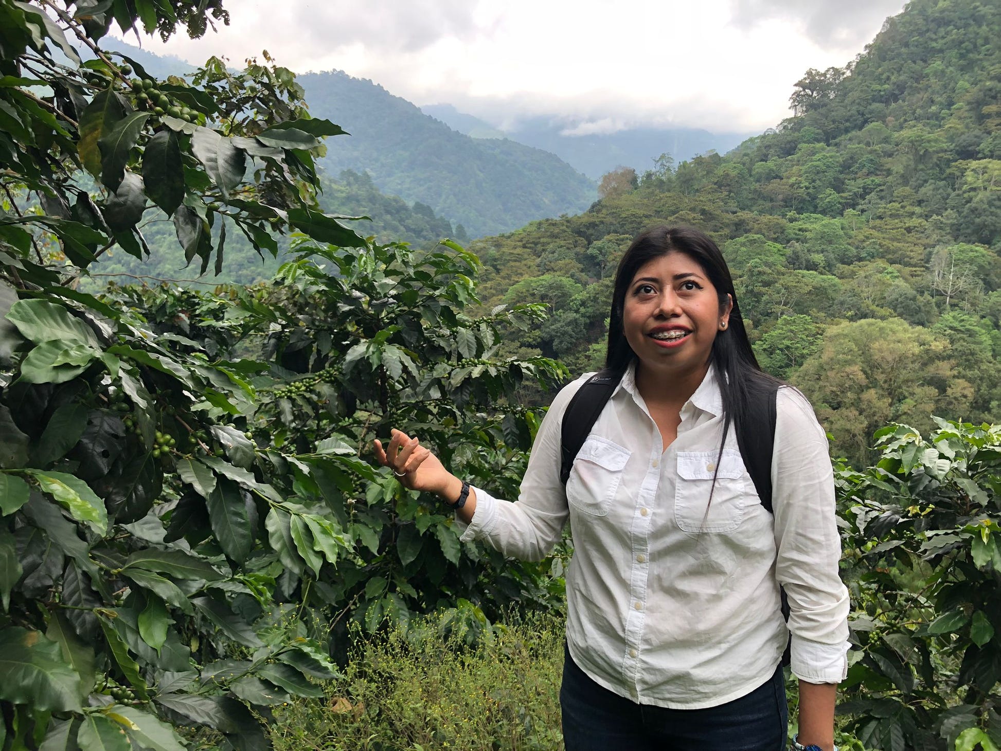 Manos Campesinas – Guatemala Washed4