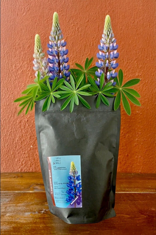 Lupinen pur!2