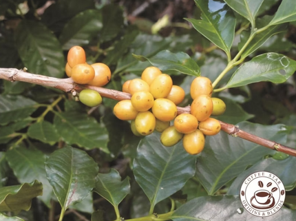 Vielfalt schmecken, Tradition bewahren