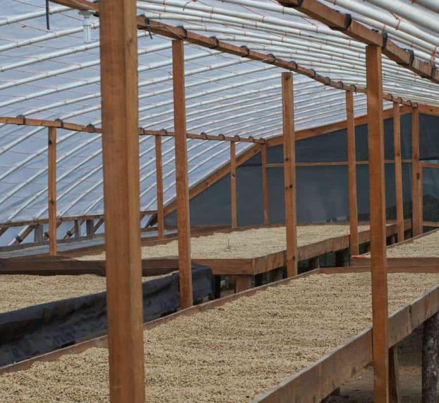 Honduras Marcala2