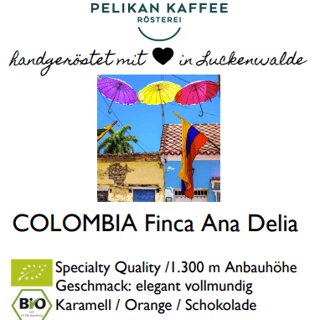 Colombia Finca ANA Delia2