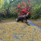 Papua Neu Guinea - Filter6