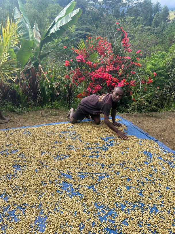 Papua Neu Guinea - Filter6