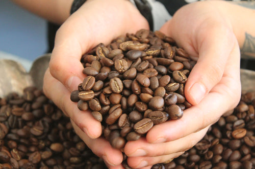 Das Geheimnis der wertvollen Kaffees